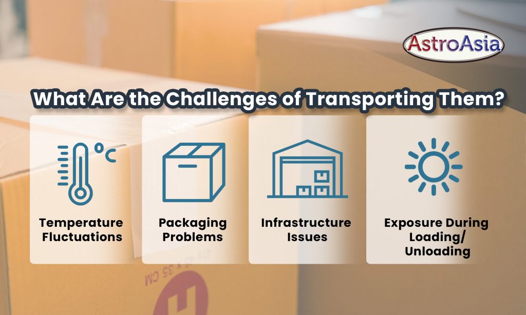 A list of challenges of transporting temperature-sensitive products.